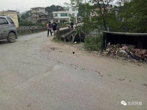 龙山县最新爆料,揭秘神秘事件背后的真相