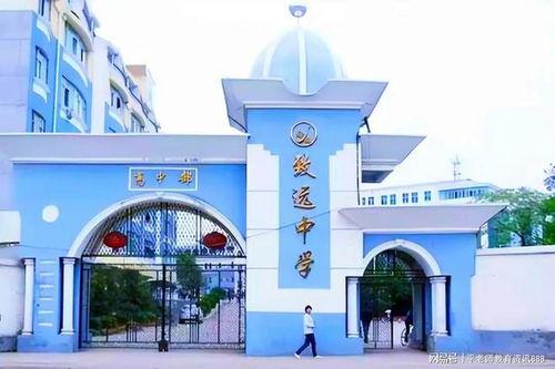 最新爆料致远中学视频下载